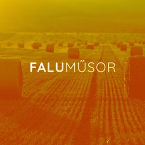 Faluműsor