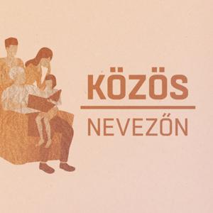 Közös nevezőn