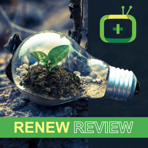 Renew Review