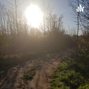 Geleide Meditaties Podcast Met Kees Schilder by MEDITATIEINVOLENDAM