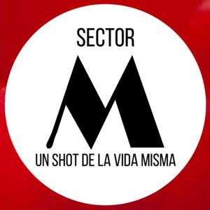 Sector M