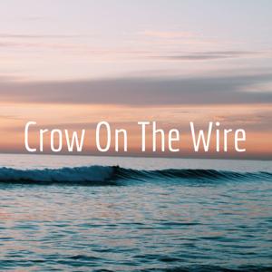 Crow On The Wire