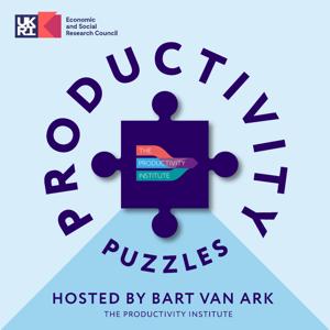 Productivity Puzzles by The Productivity Institute