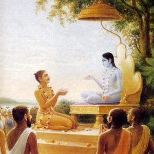 Srimad Bhagavatam en Español