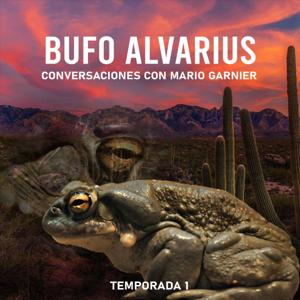 Bufo Alvarius con Mario Garnier by Mario Garnier