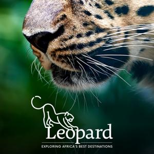 Leopard: Exploring Africa's Best Destinations