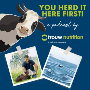 You Herd It Here First! by Trouw Nutrition