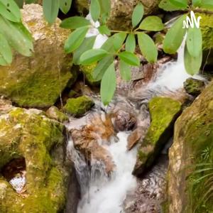 Asomándonos a la Poesía