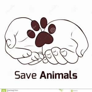 Save the animals