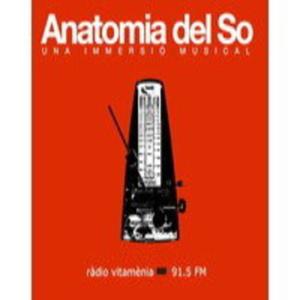 Anatomia del So