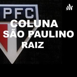 Coluna São Paulino Raiz