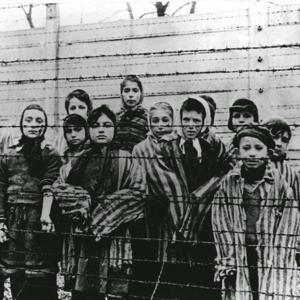 A História Do Holocausto