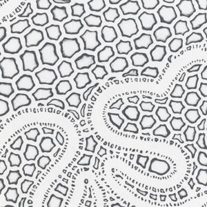 កែវ​ សុធា