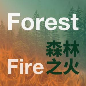 森林之火Forest Fire