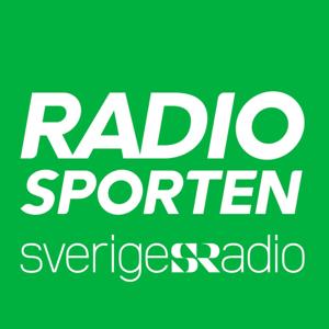 Ishockey