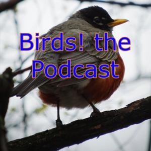 Birds! the Podcast