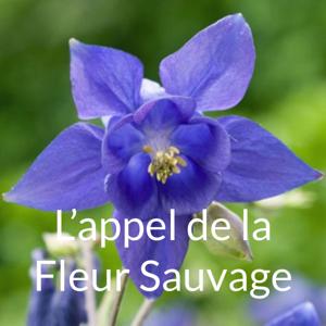 L'appel de la Fleur Sauvage