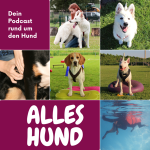 Alles Hund - Dein Podcast rund um den Hund