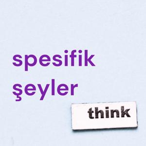 spesifik şeyler