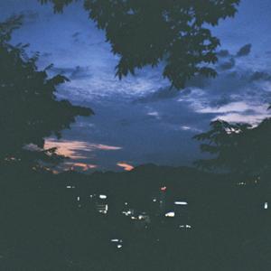 달차의 꿀잠 서점