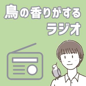 鳥の香りがするラジオ