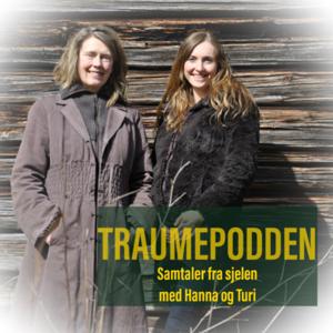 Traumepodden