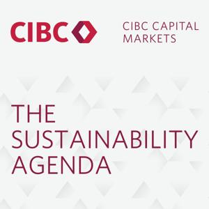 The Sustainability Agenda