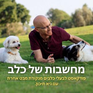 ”מחשבות של כלב” by גיא תיכון | מטפל התנהגותי בכלבים ומאמן מאלפים