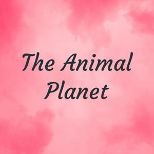 The Animal Planet