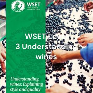 WSET Level 3 Understanding wines: Explaining style and quality by Daniel Gomez