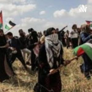 Conflicto Israel Y Palestina