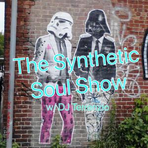 The Synthetic Soul Show (w/ DJ Terrenzio)