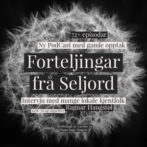 Forteljingar frå Seljord