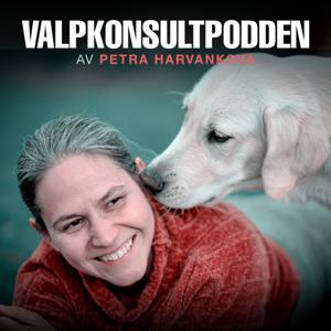 Valpkonsultpodden