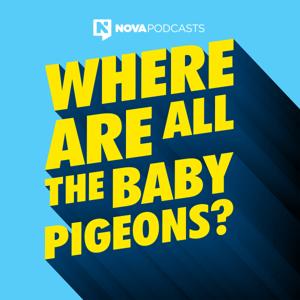 Where Are All The Baby Pigeons? by Nova Podcasts