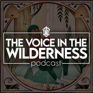 The Voice In The Wilderness