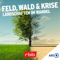 Feld, Wald und Krise – Landschaften im Wandel