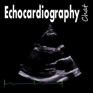 Echocardiography Chat