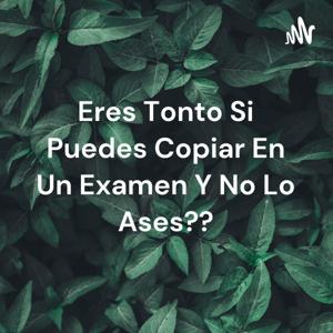 Eres Tonto Si Puedes Copiar En Un Examen Y No Lo Ases??