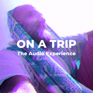 On A Trip - The Audio Experience