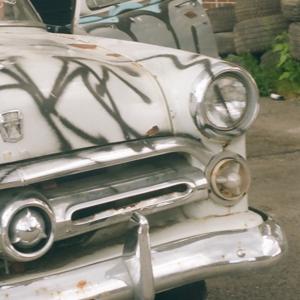 Les Mouches Fantastiques