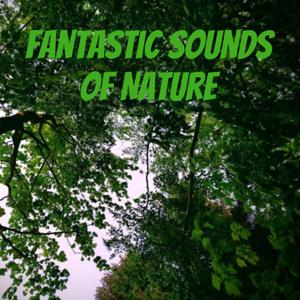 Fantastic Sounds of Nature