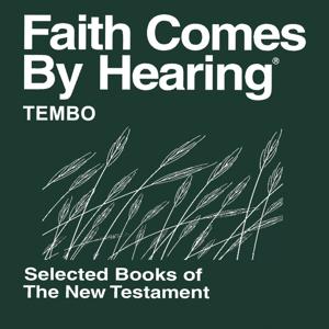 Tembo Bible (Non - Dramatized) - John and 1 Timothy- Tembo Bible ( non - théâtralisées ) - John et Timothy 1