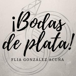 Bodas de plata