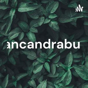 Bolancandrabuana