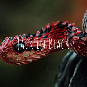 Jack In Black
