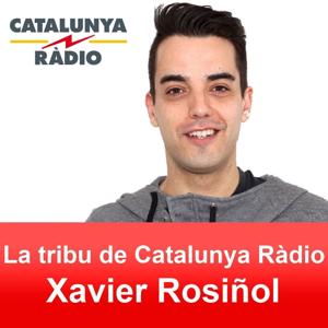 Preguntes que no ens deixen dormir