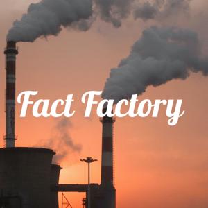 Fact Factory