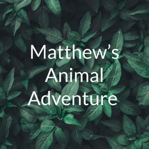 Matthew’s Animal Adventure