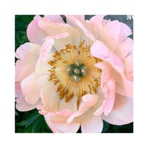 Christian Creative Art